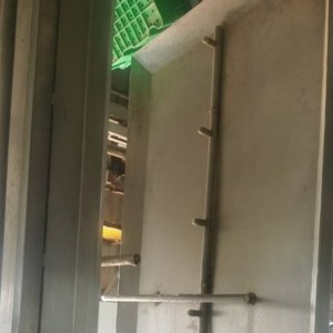 Pig Carcasses Cleaning